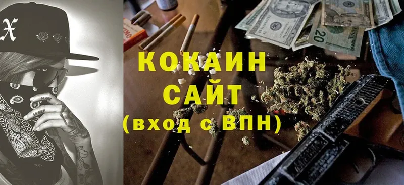 дарнет шоп  Макушино  Cocaine 98% 